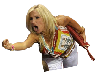 Illustration for article titled Photoshop Contest: Crazy Bird-Flipping Miami Heat Fan